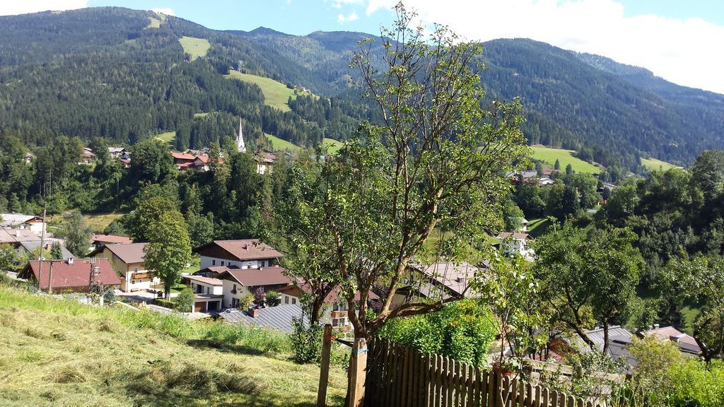 Hotel Bauernhof Burglehen Wagrain Esterno foto